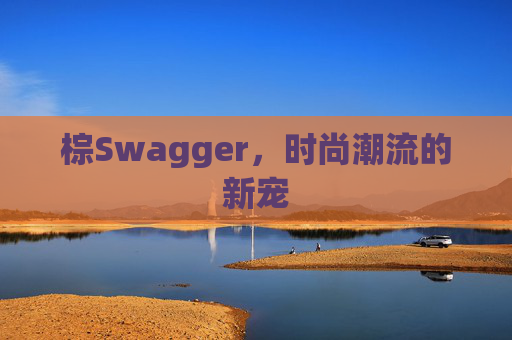 棕Swagger，时尚潮流的新宠